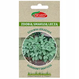 szalwia-lekarska-nasiona-graspapier