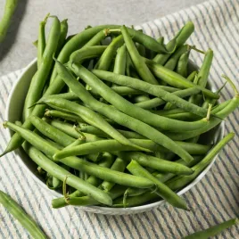 fasola-zielona-bona-bezwlokniste-straki-nasiona