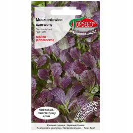musztardowiec-czerwony-kapusta-sitowata-nasiona-1g