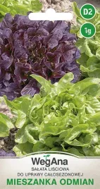 salata-lisciowa-mieszanka-nasiona-verala-1g