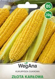 kukurydza-cukrowa-zlota-karlowa-nasiona-20g
