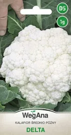 kalafior-delta-nasiona-srednio-pozny-1g