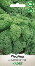 jarmuz-kadet-zielony-nasiona-srednio-pozny-2g