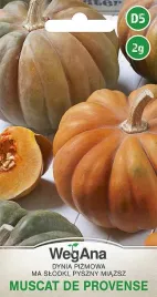 dynia-muscat-de-provence-pizmowa-nasiona