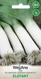 por-elefant-pozny-odporny-do-15c-nasiona