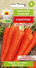 marchew-chantenay-nasiona-warzwyw-bardzo-wczesna