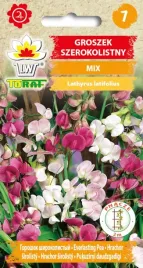 groszek-pnacy-szerokolistny-nasiona