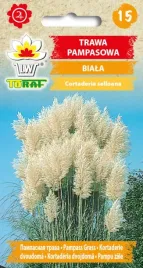 trawa-pampasowa-biala-nasiona