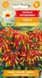 szarlat-trojbarwny-finezja-nasiona-kwiatow