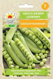 groch-szesciotygodniowy-bardzo-wczesny-nasiona