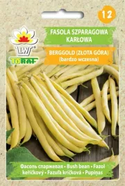 fasola-zolta-berggold-karlowa-nasiona