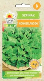 szpinak-nowozelandzki-szybko-rosnacy-nasiona