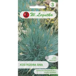 kostrzewa-sina-srebrzystoniebieska-nasiona