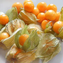 rodzynek-brazylijski-miechunka-peruwianska-nasiona