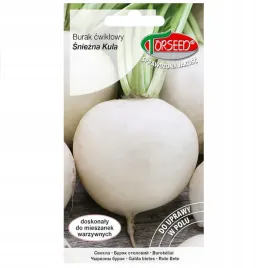 burak-bialy-cwiklowy-sniezna-kula-nasiona