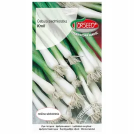 cebula-siedmiolatka-kroll-odporna-temperatury
