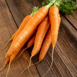 marchew-bardzo-wczesna-chantenay-nasiona-duza-paczka-5g