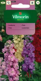 lewkonia-excelsior-mieszanka-nasiona-vilmorin