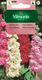lewkonia-letnia-mieszanka-nasiona-vilmorin