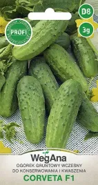 ogorek-corveta-gruntowy-wczesny-nasiona-profi-3g