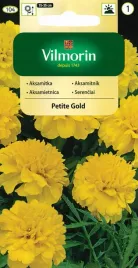 aksamitka-petite-gold-zolta-nasiona-vilmorin