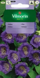 kobea-pnaca-fioletowo-niebieska-nasiona-vilmorin
