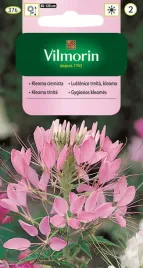 kleome-mieszanka-nasiona-vilmorin