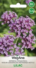werbena-patagonska-lilac-nasiona-kwiatow-02g