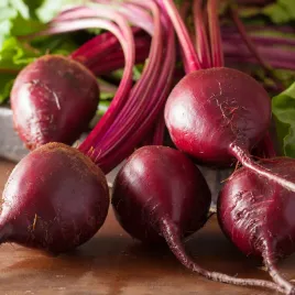 burak-czerwona-kula-2-wczesny-nasiona-duza-paczka-20g-wegana