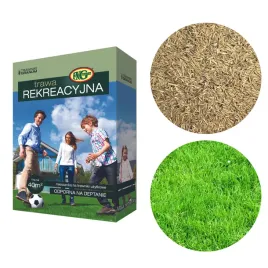 trawa-rekreacyjna-sportowa-odporna-nasiona-1kg