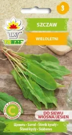 szczaw-odporny-na-mrozy-wieloletnia-nasiona