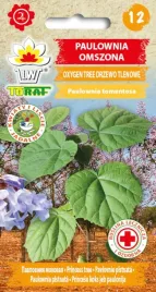 paulownia-omszona-oxygen-tree-drzewo-tlenowe-01g