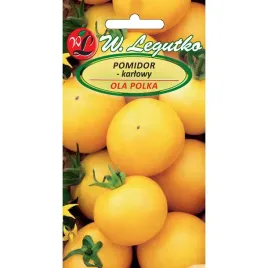 pomidor-zolty-ola-polka-drobny-smaczny-nasiona