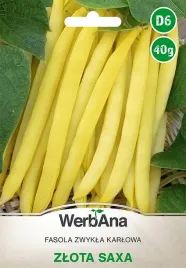 fasola-zlota-saxa-wczesna-40g-wegana-nasiona