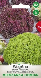 salata-maslowa-fryzowana-mieszanka-1g-nasiona