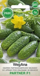 ogorek-partner-konserwowy-mieszaniec-f1-2g