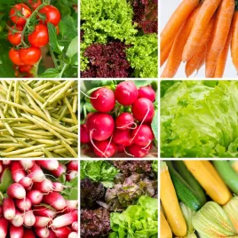 zestaw-warzyw-na-balkon-9-odmian-nasiona