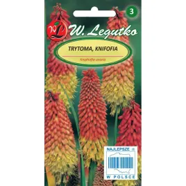 trytoma-knifofia-czerwono-zolta-nasiona