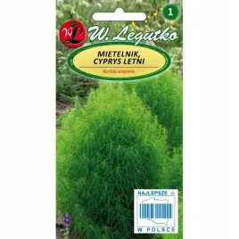 mietelnik-cyprys-letni-zielony-nasiona-1g