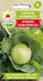 kapusta-glowiasta-biala-ditmarska-nasiona-2g-tora