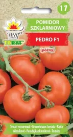 pomidor-szklarniowy-pedro-f1-nasiona-warzyw