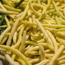 fasola-zlota-saxa-szparagowa-karlowa-nasiona-50g