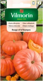 dynia-olbrzymia-rouge-vif-d-etampes-3g-vilmorin