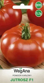 pomidor-jutrosz-f1-karlowy-nasiona
