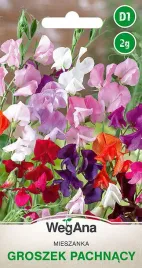 groszek-pachnacy-pnacy-mieszanka-kolorow