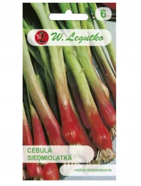 cebula-siedmiolatka-red-toga-nasiona