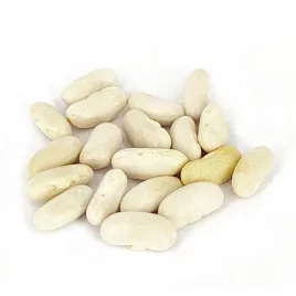 fasola-zlota-saxa-szparagowa-karlowa-nasiona-40g