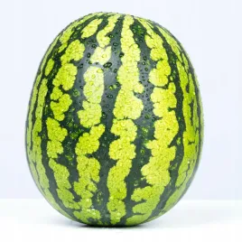 arbuz-moro-f1-owoc-do-6kg-nasiona