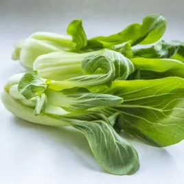 kapusta-chinska-pak-choi-szybki-zbior