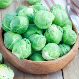 kapusta-dolores-brukselska-f1-wczesna-nasiona-duzo-nasion-05g